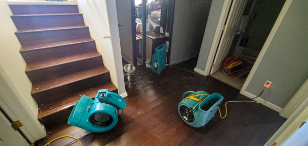 Best Local water damage restoration  in Addis, LA