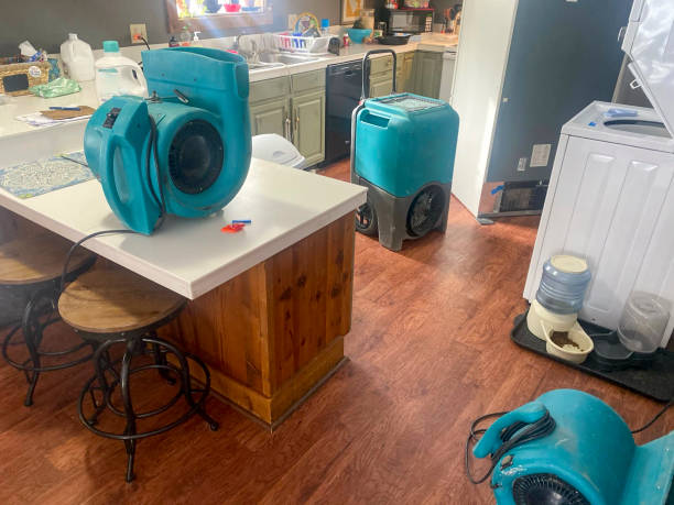 Best Sewage cleanup and water damage restoration  in Addis, LA