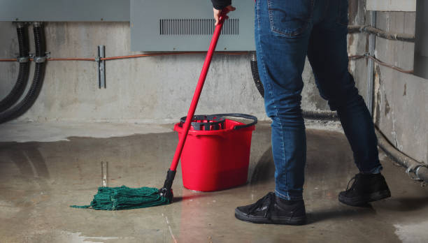 Best Carpet water damage restoration  in Addis, LA