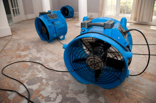 Best Emergency water damage restoration  in Addis, LA