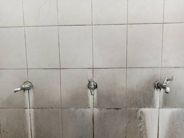 Water damage restoration experts in LA