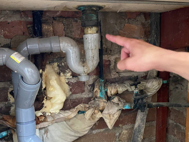 Best Water damage restoration process  in Addis, LA