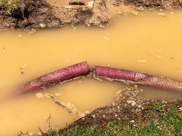 Best Water damage restoration experts  in Addis, LA